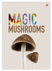 The words Magic Mushroom with a picture of a Psilocybin mushroom on an A6 health information card