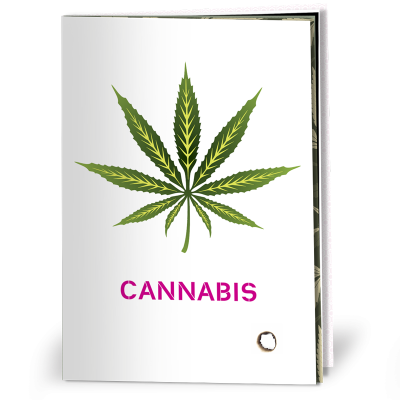 Cover of an 8-page cannabis information pamphlet showing an illustration of a green cannabis leaf with the word 'cannabis' underneath.